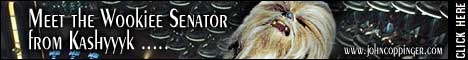 johncoppinger_banner3.jpg (9495 bytes)